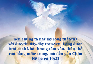 16626976-0b06-4dd3-93ea-58cb0a2da483.jpg