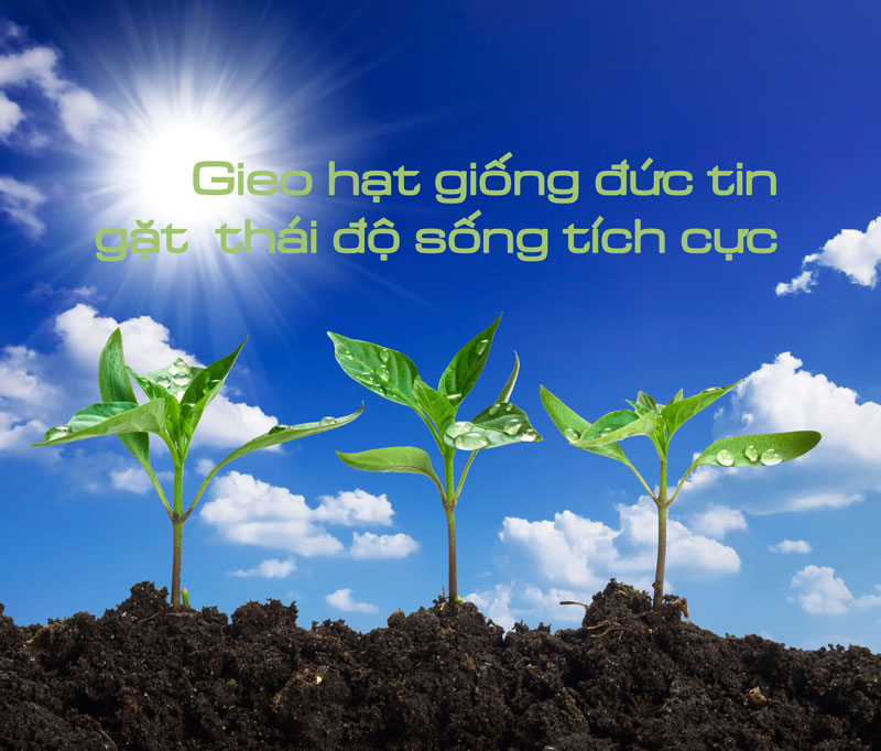 thai-do-song