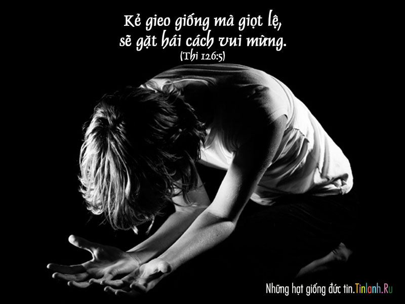 Ai-gieo-giong-giot-le