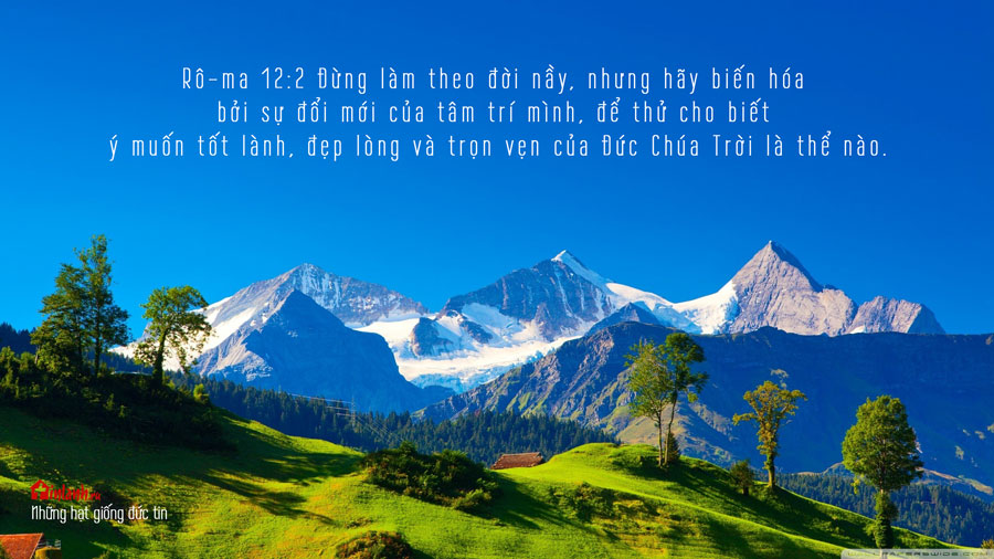 muon dieu Cha muon
